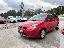 FORD Fiesta 1.2 16V 3p. Ghia