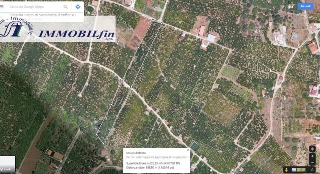 zoom immagine (Terreno 6000 mq, zona Ciaculli)