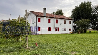 zoom immagine (Casa singola 180 mq, soggiorno, 3 camere, zona Piazzola Sul Brenta)