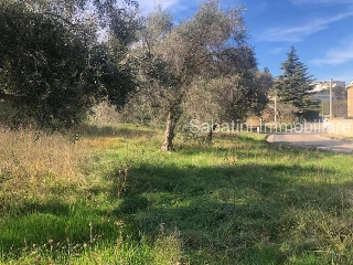 zoom immagine (Terreno 1300 mq, zona Montesilvano Colli)