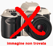zoom immagine (Obiettivo Vivitar macro telephoto mm. 52)